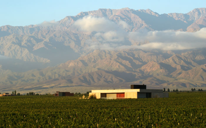 vinícola em Mendoza